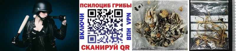 Галлюциногенные грибы мухоморы  Каменск-Шахтинский 